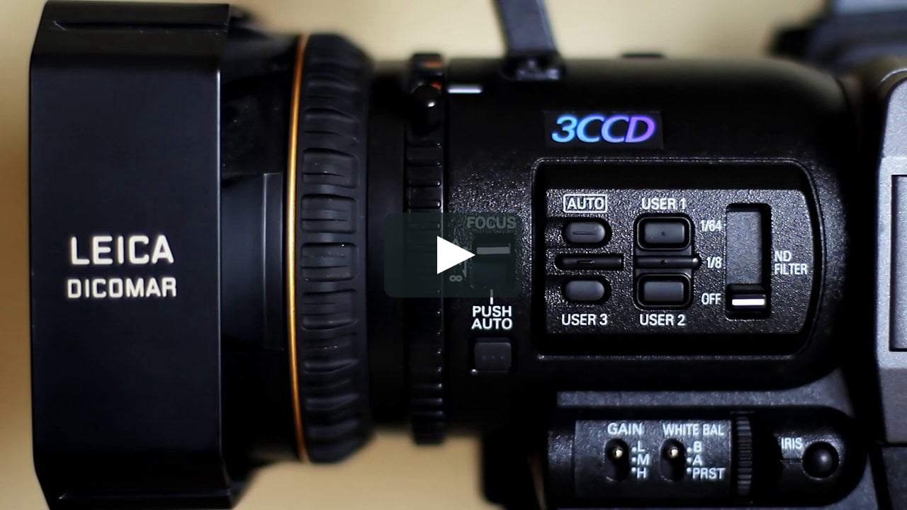 5 Tips to Run an Amazing Video Contest Daisy Travlas World